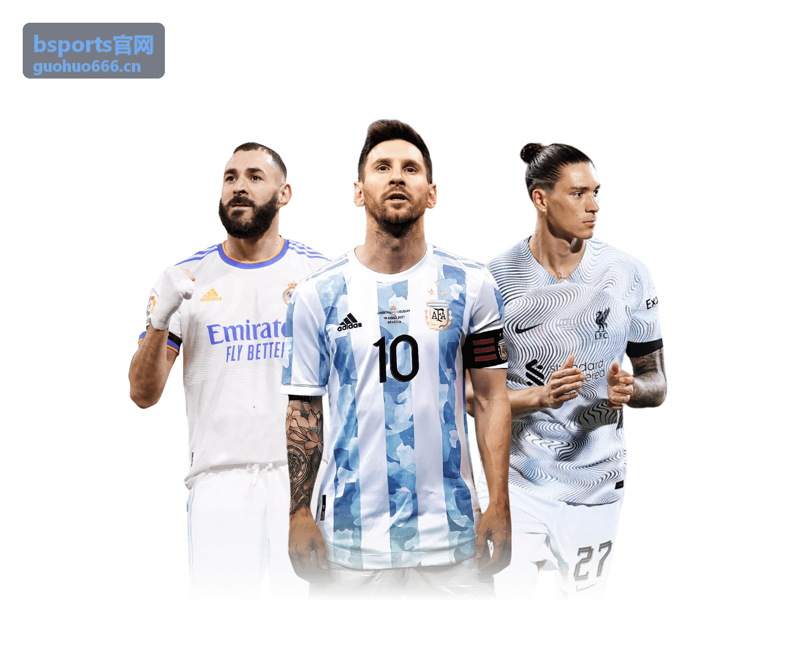 bsports 冰雪项目专题